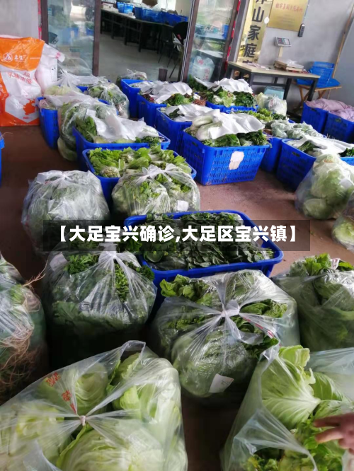 【大足宝兴确诊,大足区宝兴镇】-第3张图片