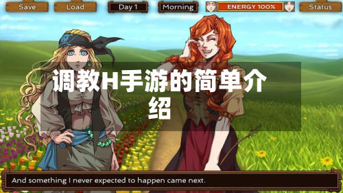 调教H手游的简单介绍
