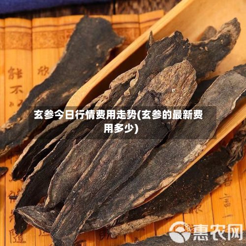 玄参今日行情费用走势(玄参的最新费用多少)