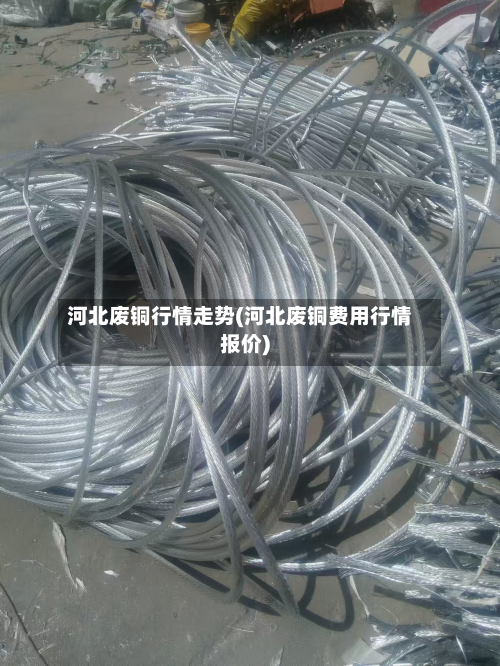 河北废铜行情走势(河北废铜费用行情报价)-第2张图片
