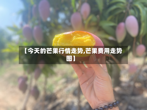 【今天的芒果行情走势,芒果费用走势图】