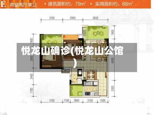 悦龙山确诊(悦龙山公馆)-第2张图片