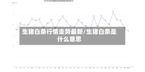 生猪白条行情走势最新/生猪白条是什么意思