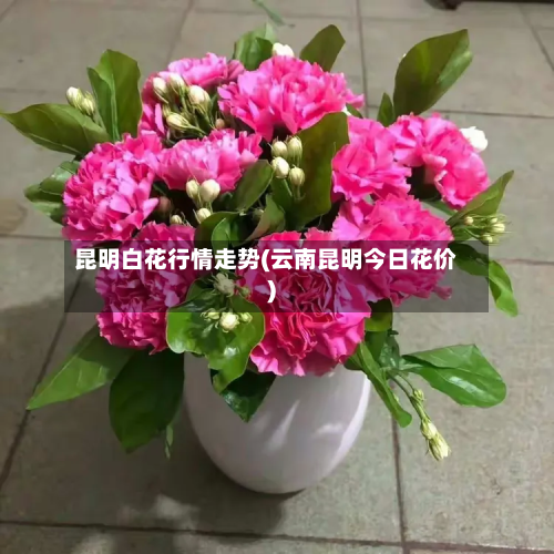 昆明白花行情走势(云南昆明今日花价)-第2张图片