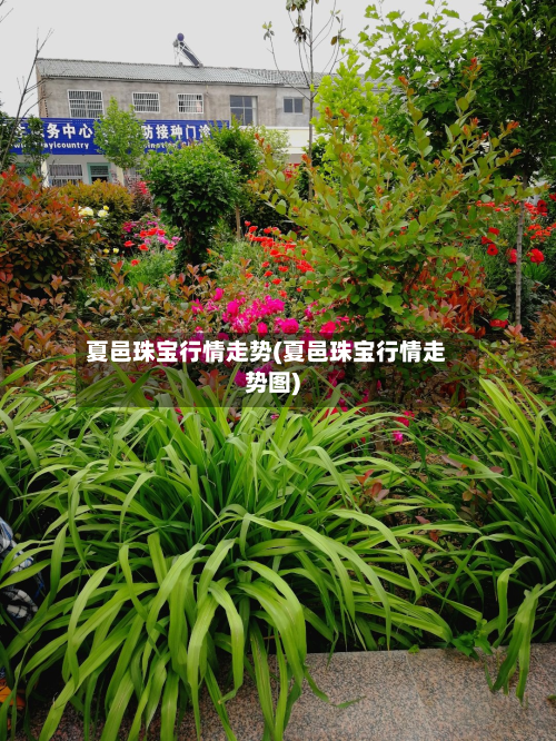 夏邑珠宝行情走势(夏邑珠宝行情走势图)-第3张图片