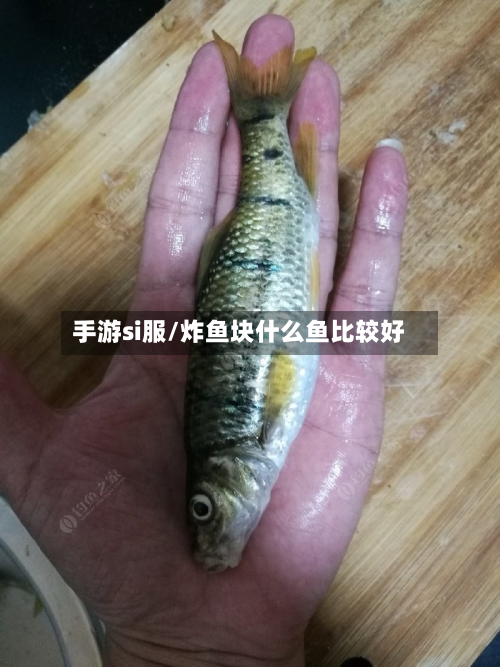 手游si服/炸鱼块什么鱼比较好