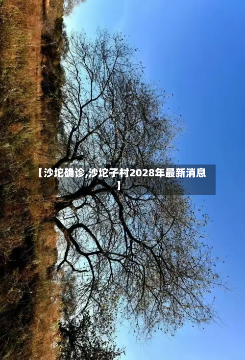 【沙坨确诊,沙坨子村2028年最新消息】