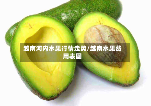越南河内水果行情走势/越南水果费用表图-第3张图片