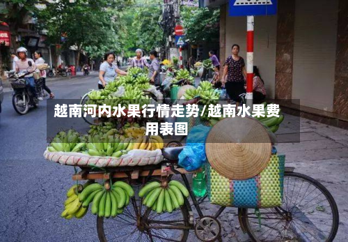 越南河内水果行情走势/越南水果费用表图