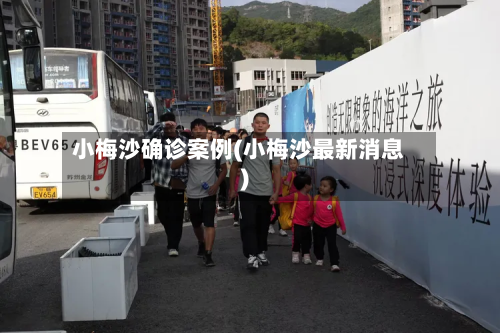 小梅沙确诊案例(小梅沙最新消息)