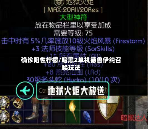 确诊阳性柠檬/暗黑2单机德鲁伊纯召唤玩法