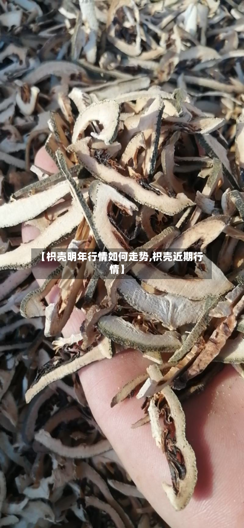 【枳壳明年行情如何走势,枳壳近期行情】