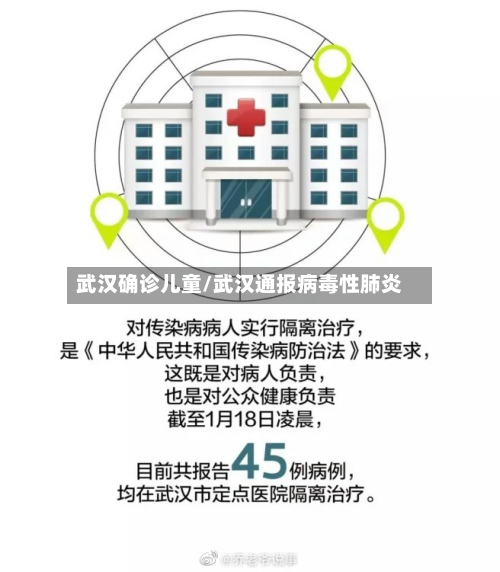 武汉确诊儿童/武汉通报病毒性肺炎-第3张图片