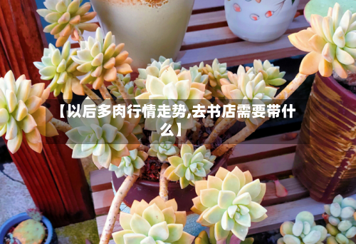 【以后多肉行情走势,去书店需要带什么】-第2张图片