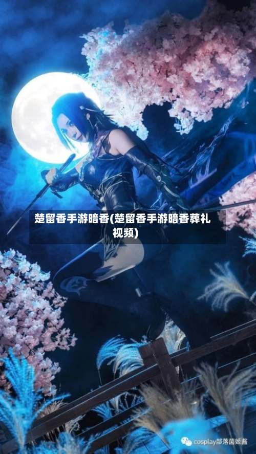 楚留香手游暗香(楚留香手游暗香葬礼视频)-第2张图片