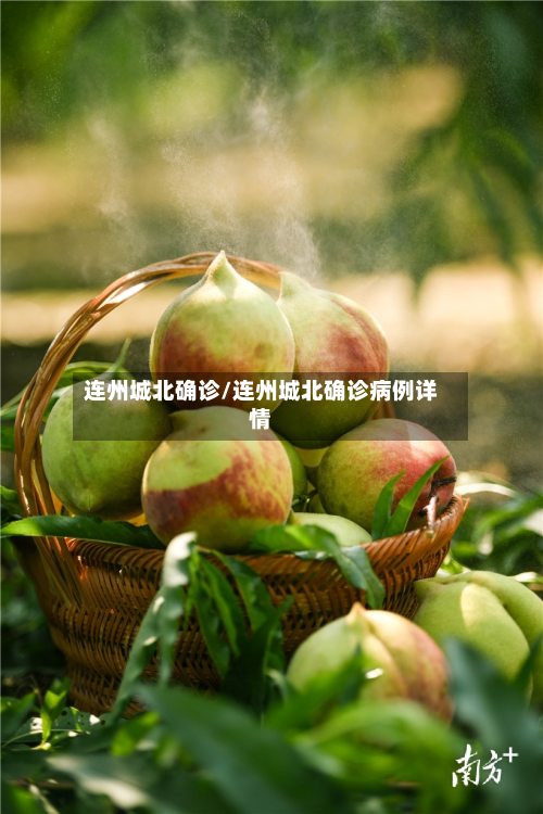 连州城北确诊/连州城北确诊病例详情