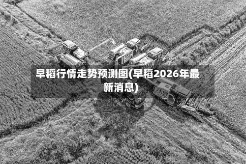 早稻行情走势预测图(早稻2026年最新消息)-第2张图片