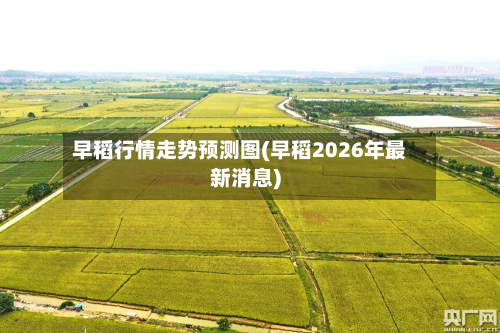 早稻行情走势预测图(早稻2026年最新消息)