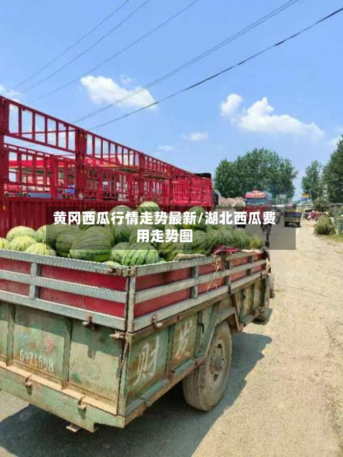 黄冈西瓜行情走势最新/湖北西瓜费用走势图-第3张图片