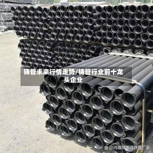 铸管未来行情走势/铸管行业前十龙头企业