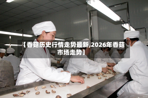 【香菇历史行情走势最新,2026年香菇市场走势】-第2张图片