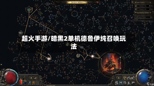 超火手游/暗黑2单机德鲁伊纯召唤玩法-第2张图片