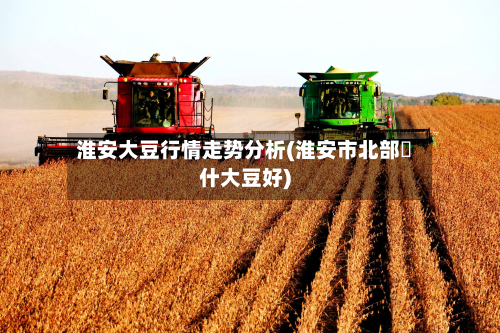 淮安大豆行情走势分析(淮安市北部種什大豆好)