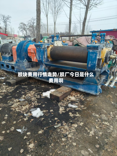 胶块费用行情走势/胶厂今日是什么费用啊