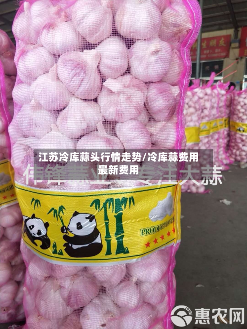 江苏冷库蒜头行情走势/冷库蒜费用最新费用