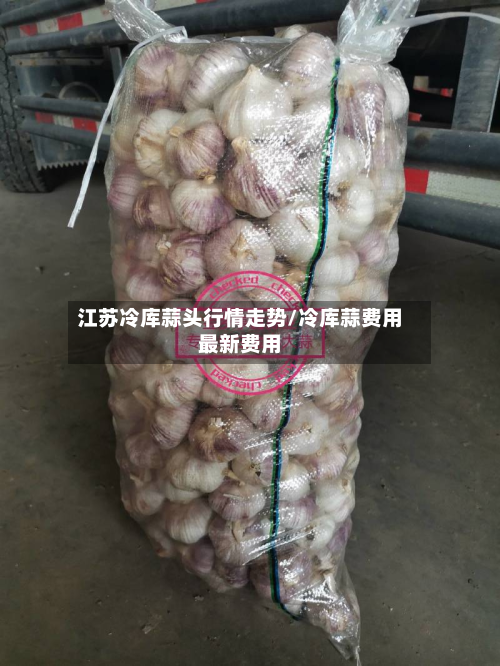 江苏冷库蒜头行情走势/冷库蒜费用最新费用-第3张图片