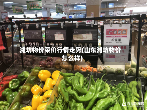 潍坊物价菜价行情走势(山东潍坊物价怎么样)