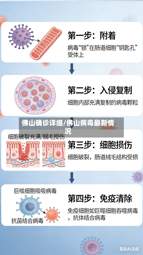佛山确诊详细/佛山病毒最新情况