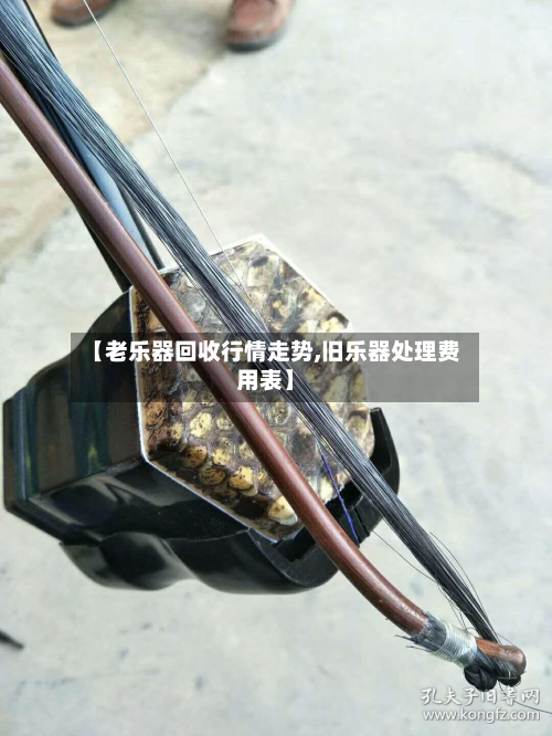 【老乐器回收行情走势,旧乐器处理费用表】-第3张图片
