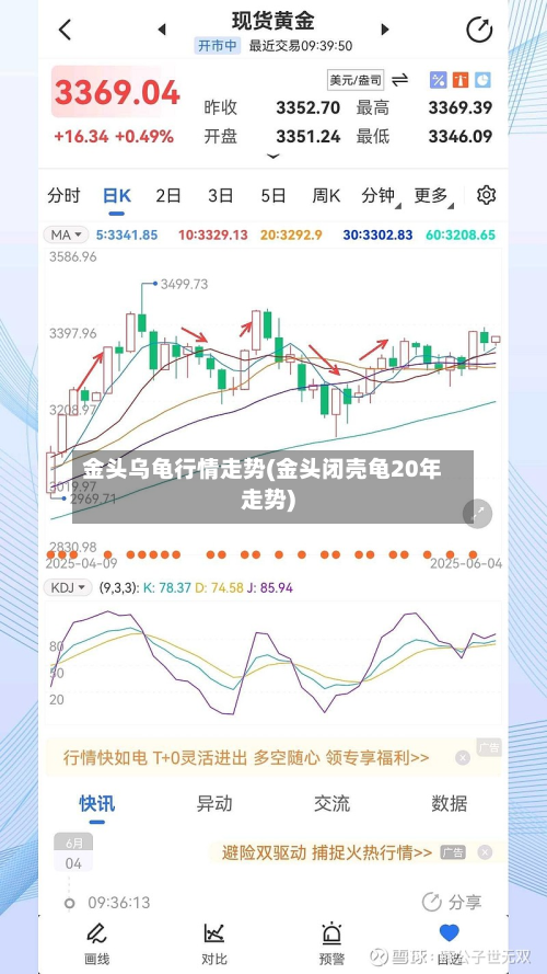 金头乌龟行情走势(金头闭壳龟20年走势)
