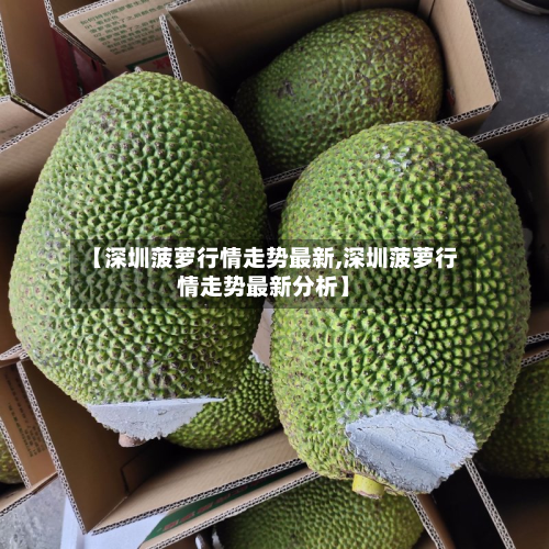 【深圳菠萝行情走势最新,深圳菠萝行情走势最新分析】