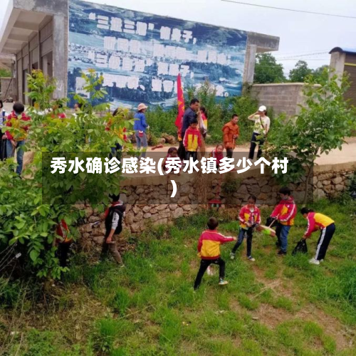 秀水确诊感染(秀水镇多少个村)-第2张图片