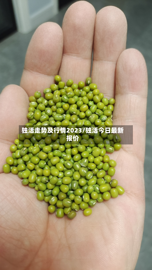 独活走势及行情2023/独活今日最新报价