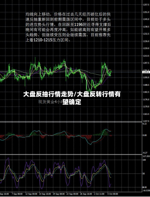 大盘反抽行情走势/大盘反转行情有望确定-第2张图片