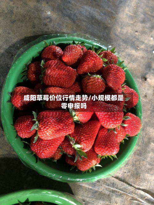 咸阳草莓价位行情走势/小规模都是零申报吗-第2张图片