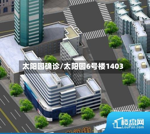 太阳园确诊/太阳园6号楼1403-第2张图片