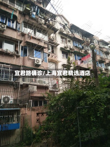 宜君路确诊/上海宜君精选酒店-第3张图片