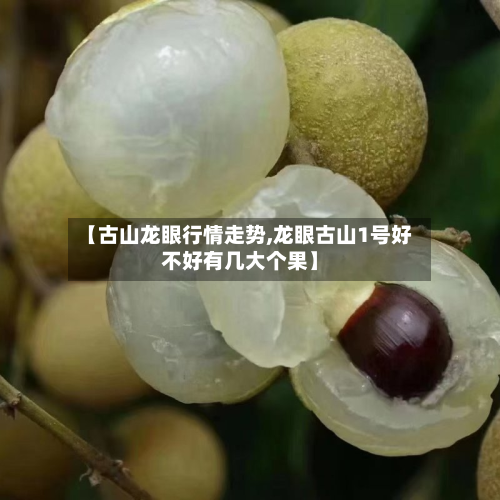 【古山龙眼行情走势,龙眼古山1号好不好有几大个果】-第2张图片