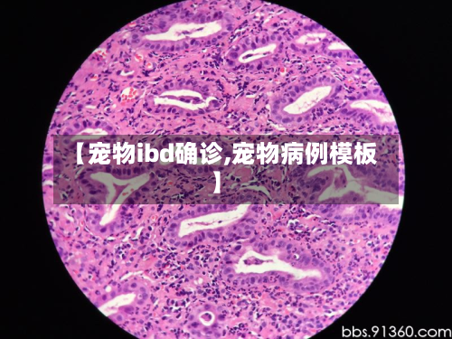 【宠物ibd确诊,宠物病例模板】-第2张图片