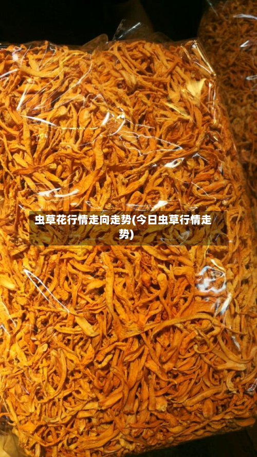 虫草花行情走向走势(今日虫草行情走势)-第2张图片