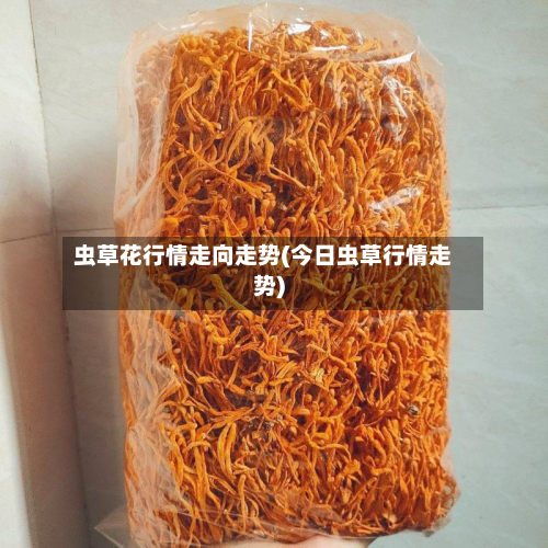 虫草花行情走向走势(今日虫草行情走势)