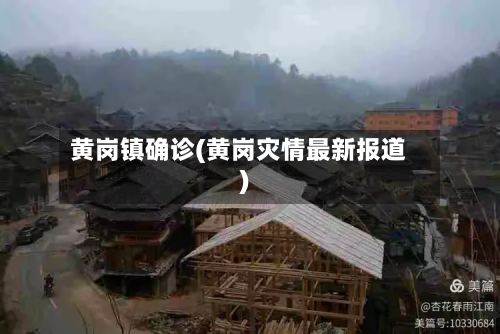 黄岗镇确诊(黄岗灾情最新报道)-第2张图片