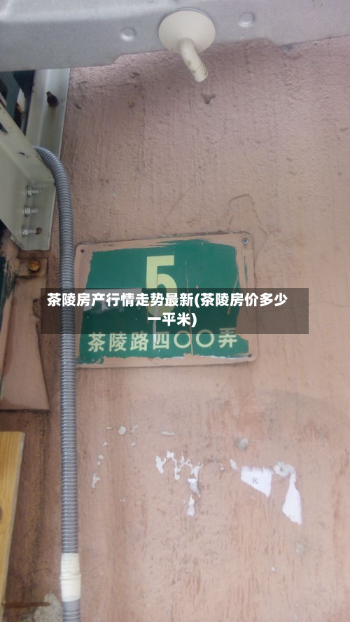 茶陵房产行情走势最新(茶陵房价多少一平米)