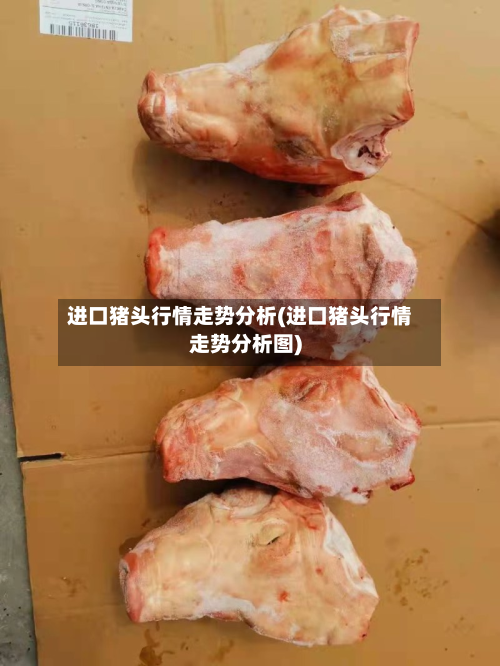 进口猪头行情走势分析(进口猪头行情走势分析图)