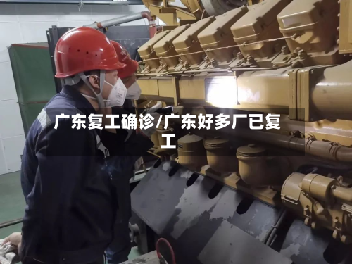 广东复工确诊/广东好多厂已复工