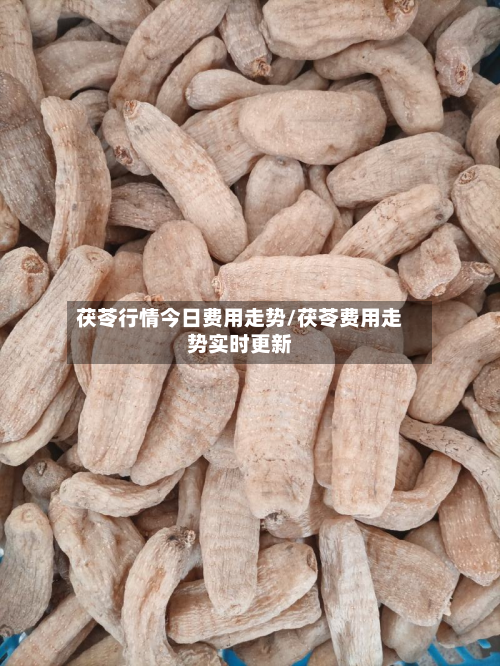 茯苓行情今日费用走势/茯苓费用走势实时更新